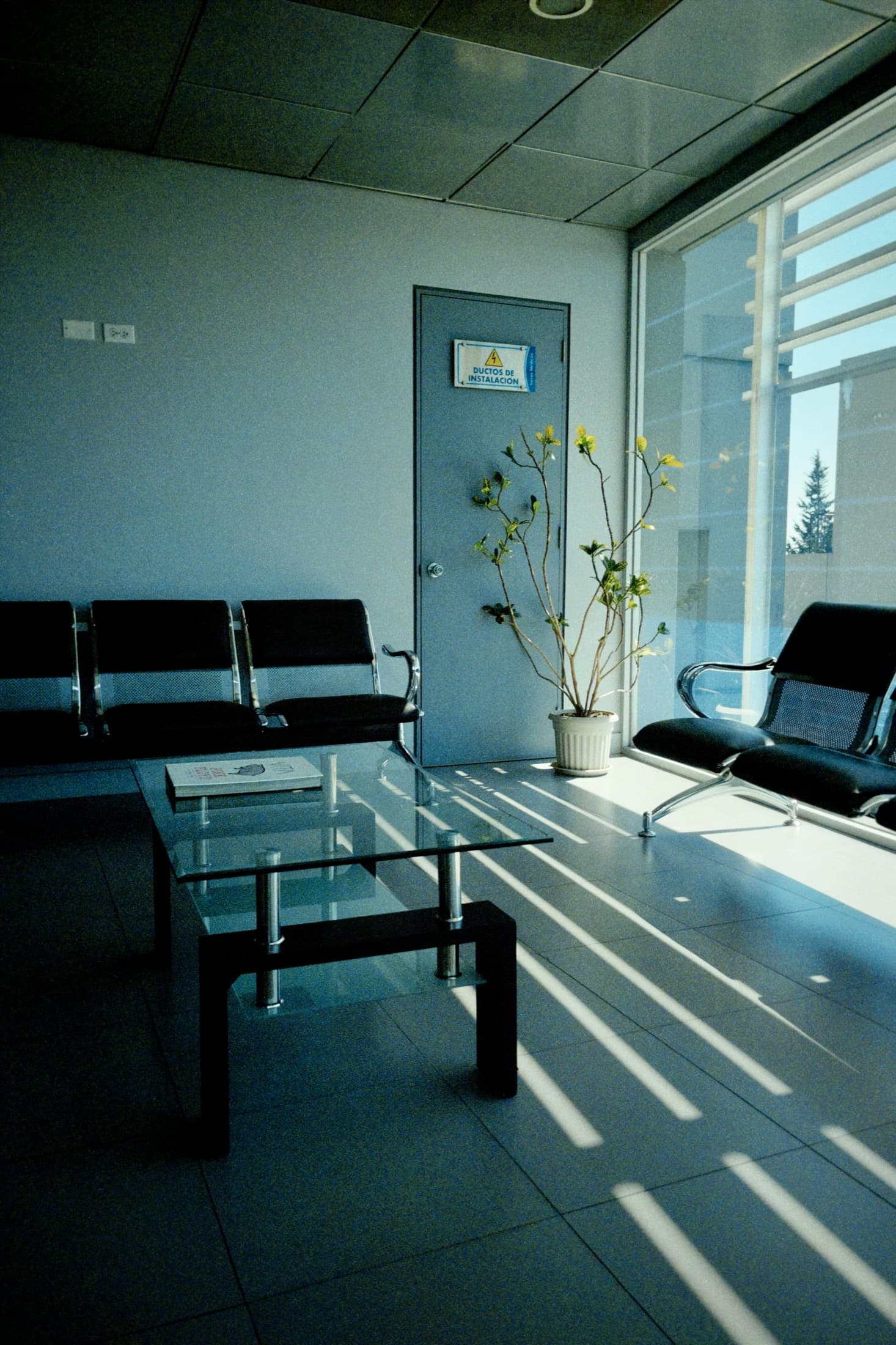 Modern waiting room with natural light and clean clinic finishes.